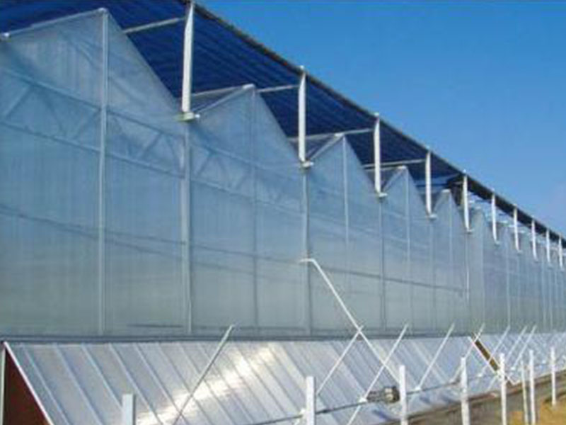 溫室陽光板